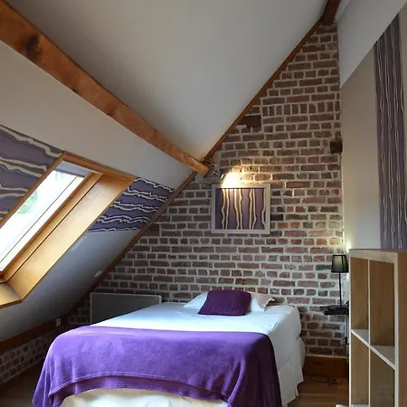 Le Domaine Des Cigognes 3* 앙느블린