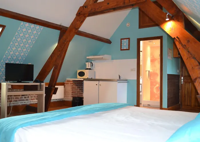 Le Domaine Des Cigognes 3*